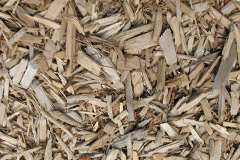 biomass boilers Troedyrhiw